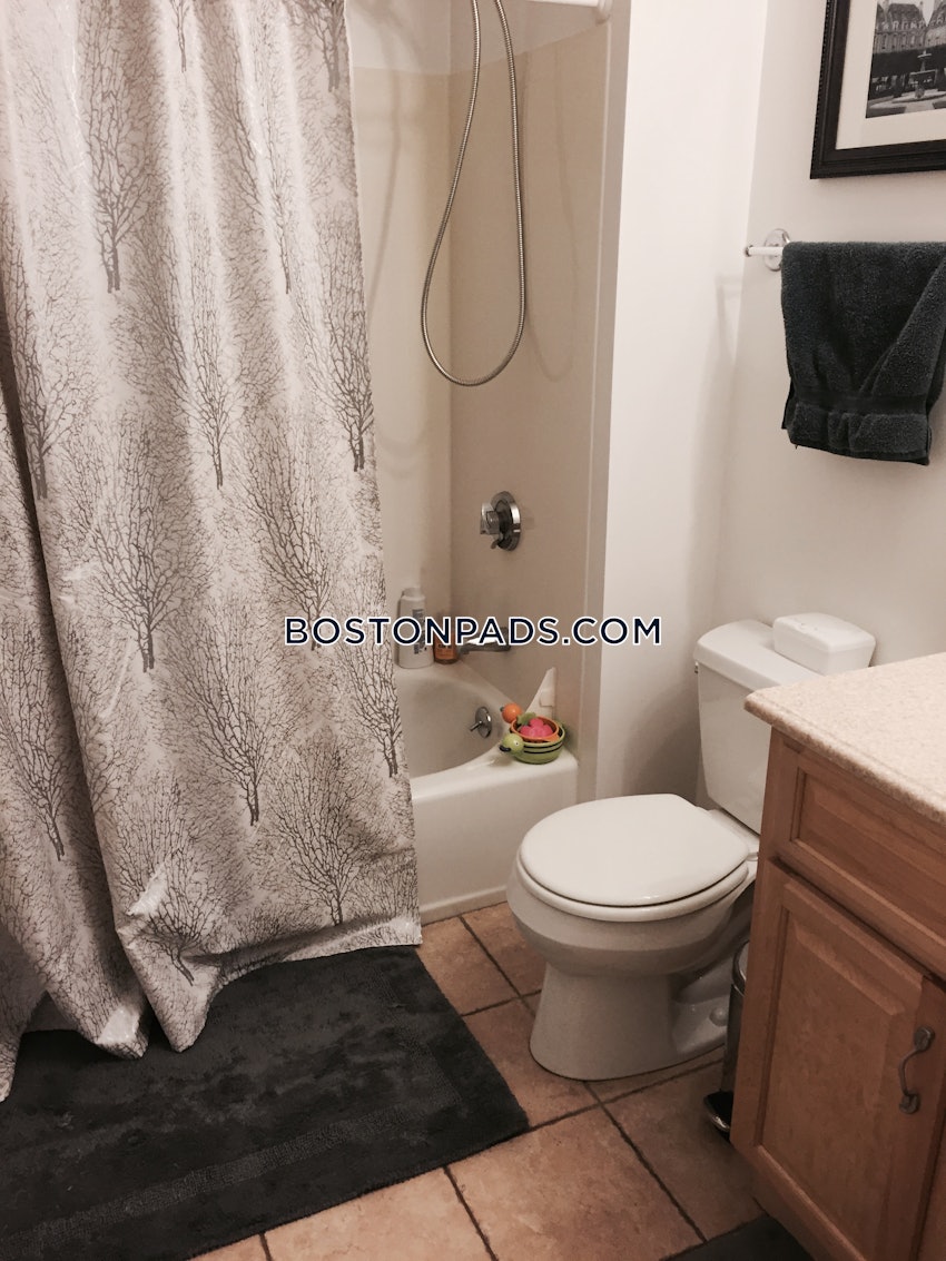 Cambridge - Mt. Auburn/Brattle/ Fresh Pond - 2 Beds, 2 Baths - Image 23