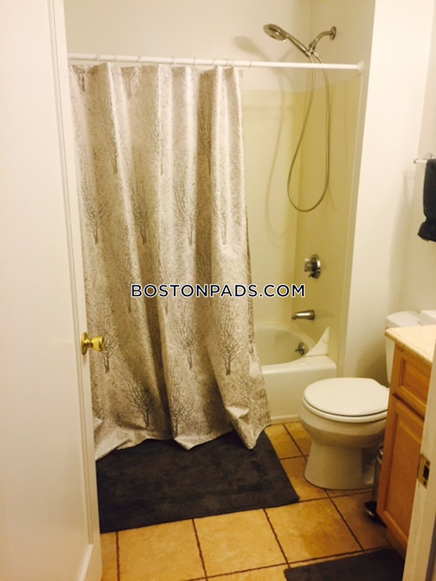 Cambridge - Mt. Auburn/Brattle/ Fresh Pond - 2 Beds, 2 Baths - Image 14