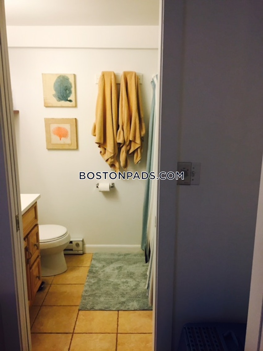 Cambridge - Mt. Auburn/Brattle/ Fresh Pond - 2 Beds, 2 Baths - Image 13