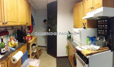 Porter Square, Cambridge, MA - 1 Bed, 1 Bath - $2,800 - ID#88863