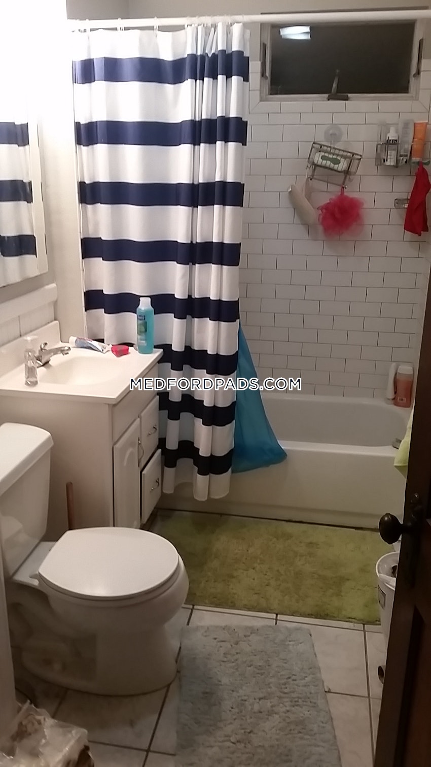 MEDFORD - TUFTS - 1 Bed, 1 Bath - Image 93
