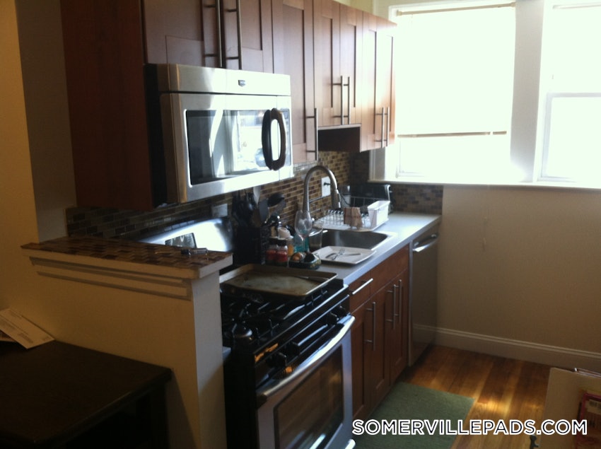 SOMERVILLE - DAVIS SQUARE - 1 Bed, 1 Bath - Image 16