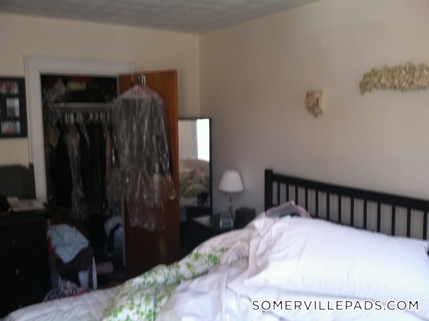 SOMERVILLE - DAVIS SQUARE - 1 Bed, 1 Bath - Image 8