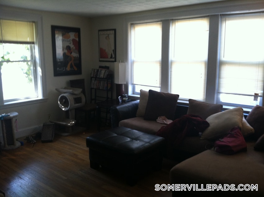 SOMERVILLE - DAVIS SQUARE - 1 Bed, 1 Bath - Image 4