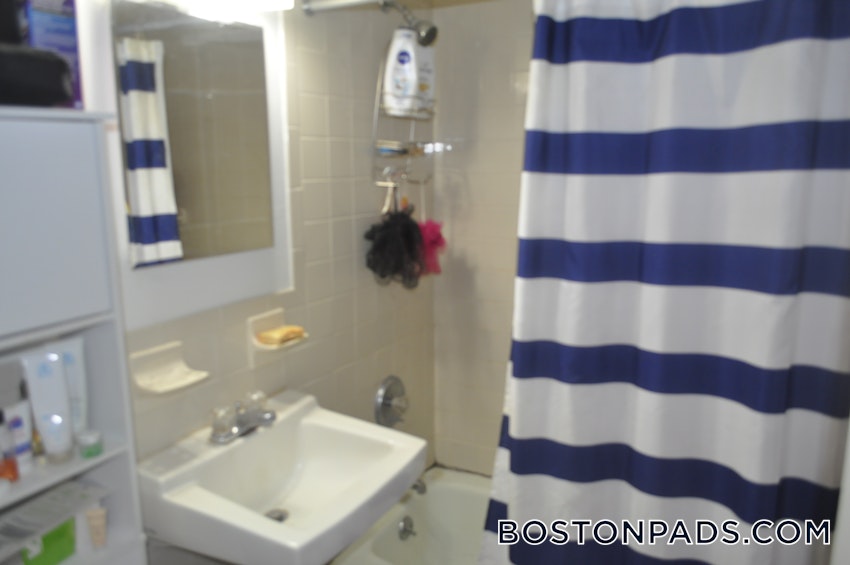 SOMERVILLE - MAGOUN/BALL SQUARE - 1 Bed, 1 Bath - Image 9