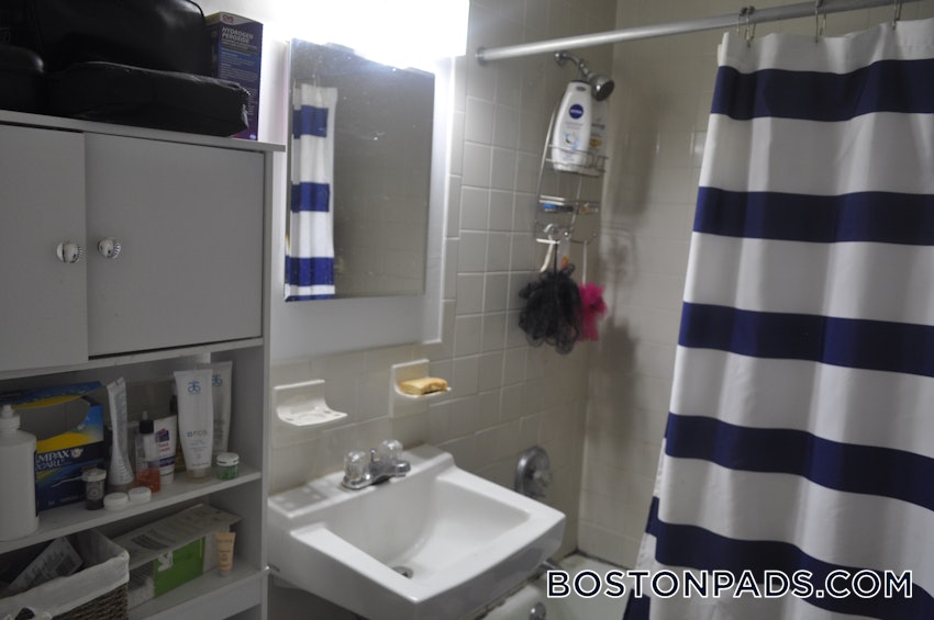 SOMERVILLE - MAGOUN/BALL SQUARE - 1 Bed, 1 Bath - Image 8