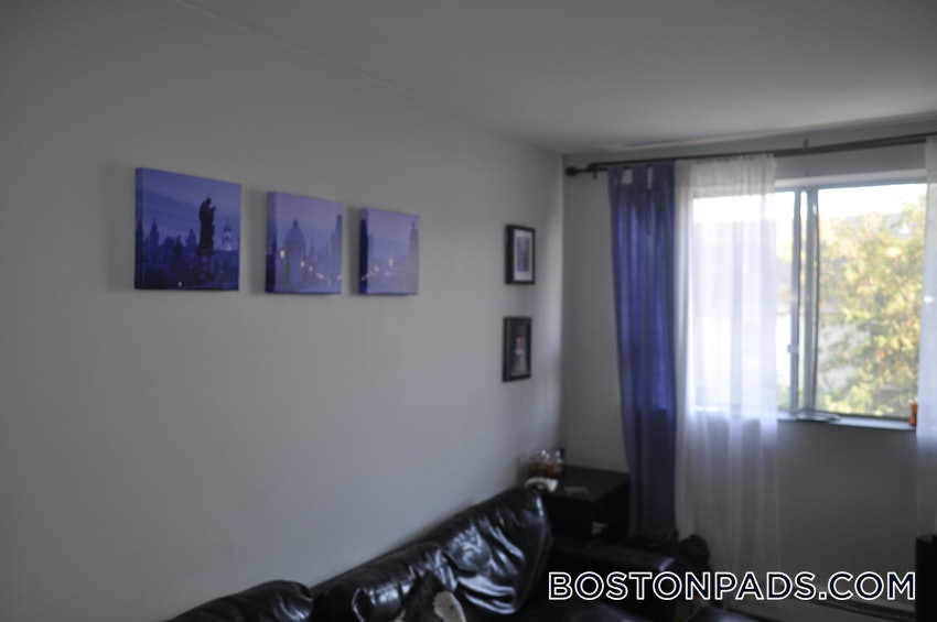 SOMERVILLE - MAGOUN/BALL SQUARE - 1 Bed, 1 Bath - Image 6