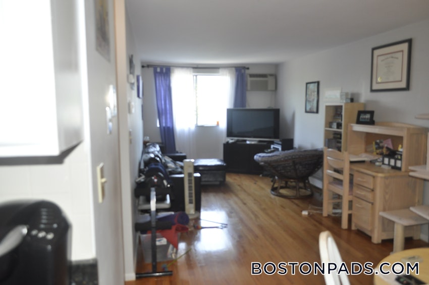 SOMERVILLE - MAGOUN/BALL SQUARE - 1 Bed, 1 Bath - Image 4