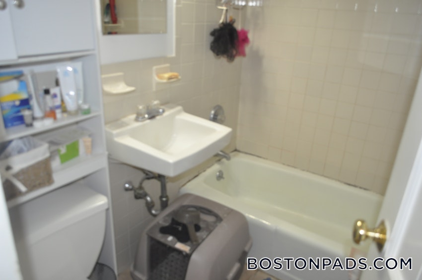 SOMERVILLE - MAGOUN/BALL SQUARE - 1 Bed, 1 Bath - Image 3