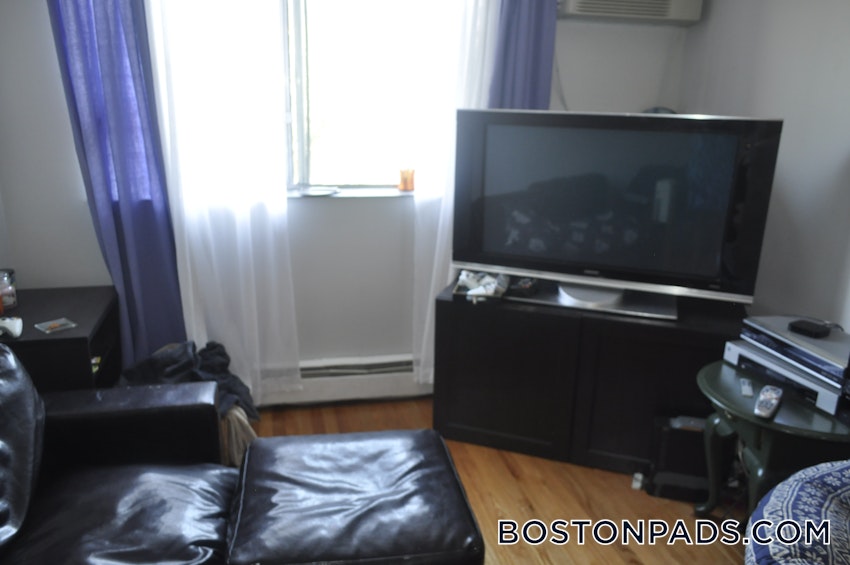 SOMERVILLE - MAGOUN/BALL SQUARE - 1 Bed, 1 Bath - Image 2