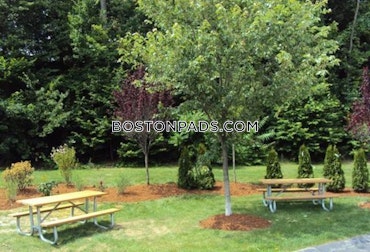 Waltham - 1 Beds, 1 Baths