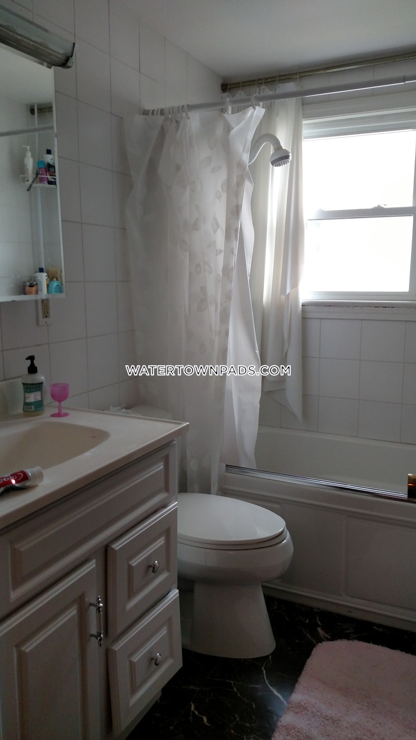 WATERTOWN - 2 Beds, 1 Bath - Image 3