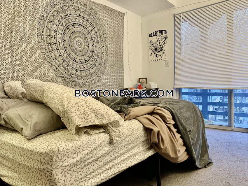 BOSTON - JAMAICA PLAIN - CENTER - 3 Beds, 1 Bath - Image 8