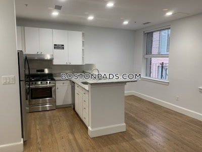 Downtown Fantastic 1 Bed 1 Bath on Boylston St Boston - $3,000 No Fee