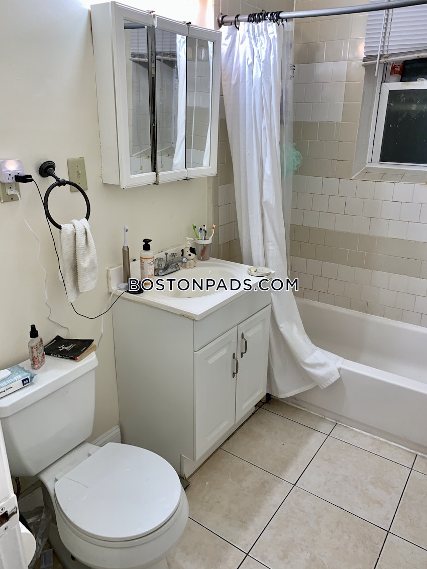 BOSTON - FORT HILL - 4 Beds, 1 Bath - Image 9