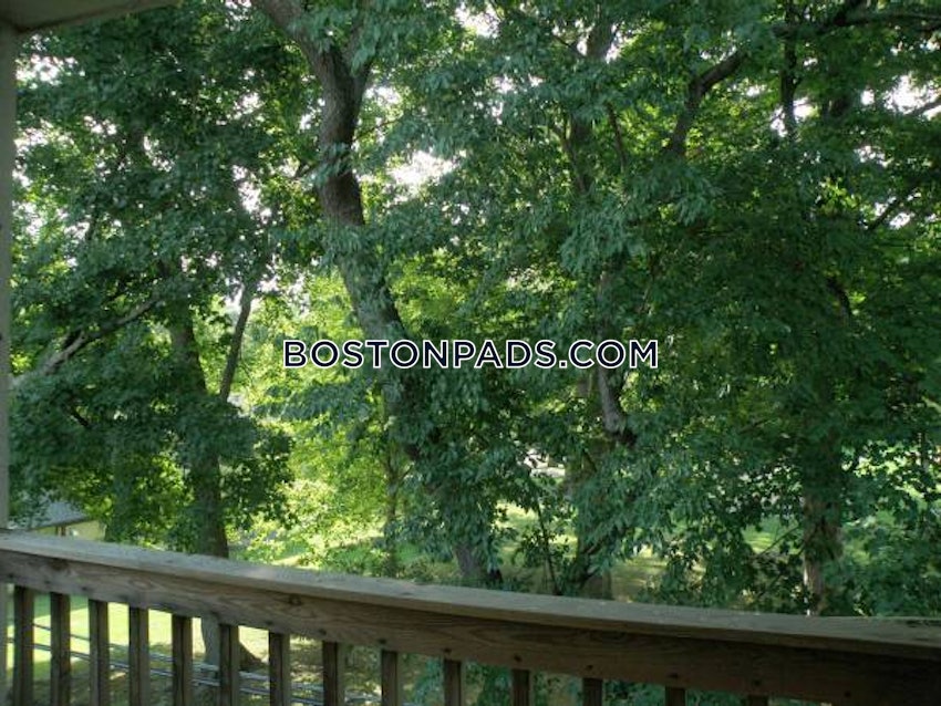 BROOKLINE - CLEVELAND CIRCLE - 3 Beds, 1 Bath - Image 9