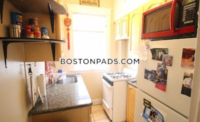Allston/brighton Border 1 Bed 1 Bath BOSTON Boston - $2,395 No Fee