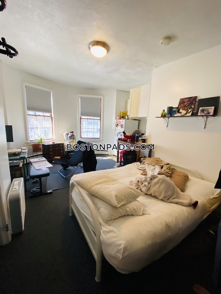 BOSTON - JAMAICA PLAIN - CENTER - Studio , 1 Bath - Image 3