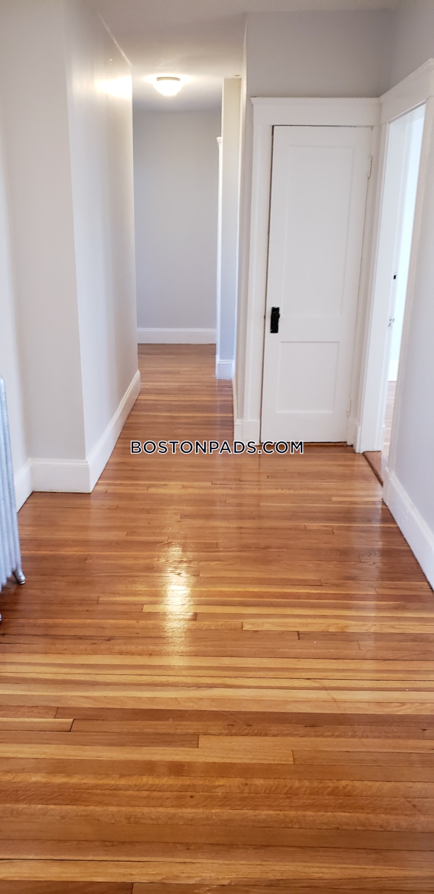 BROOKLINE- BOSTON UNIVERSITY - 4 Beds, 1.5 Baths - Image 12