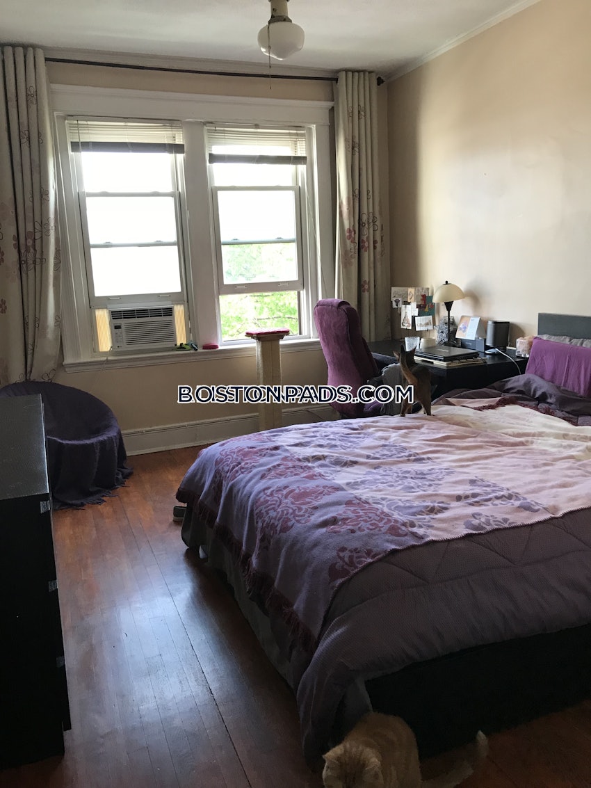 BOSTON - ALLSTON - 3 Beds, 1 Bath - Image 7