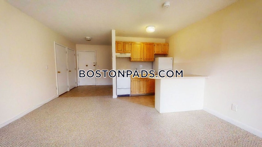 CAMBRIDGE - MT. AUBURN/BRATTLE/ FRESH POND - 1 Bed, 1 Bath - Image 2