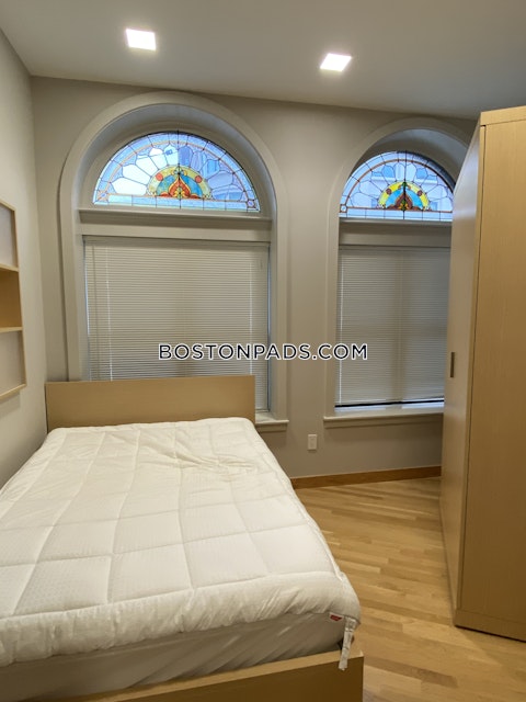 Mount Auburn St. Cambridge photo 23