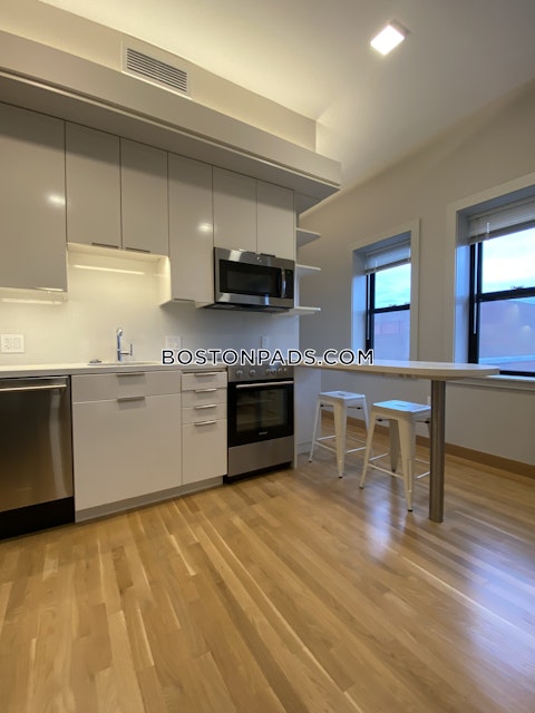 Mount Auburn St. Cambridge photo 21