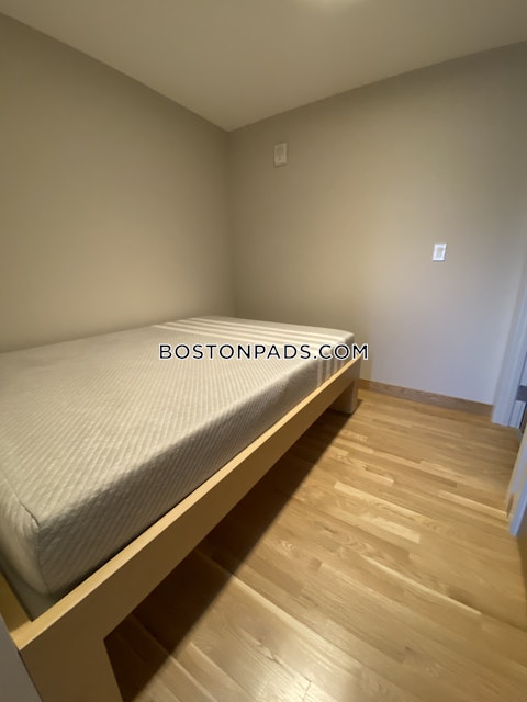 Mount Auburn St. Cambridge photo 20