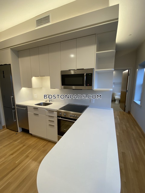 Mount Auburn St. Cambridge photo 19