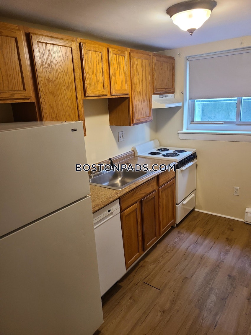 BOSTON - BRIGHTON - CLEVELAND CIRCLE - 2 Beds, 1 Bath - Image 1