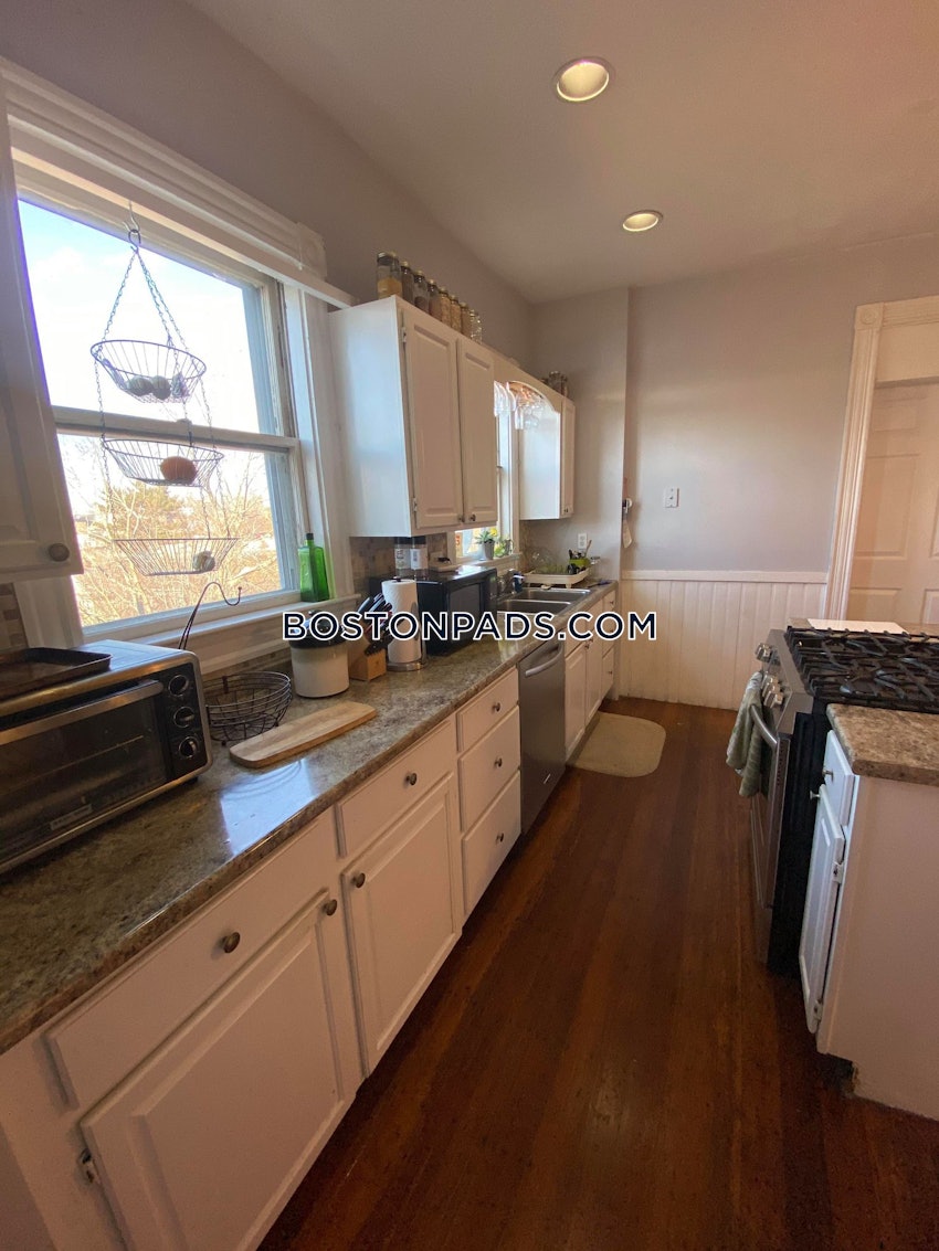 BOSTON - FORT HILL - 4 Beds, 1 Bath - Image 9
