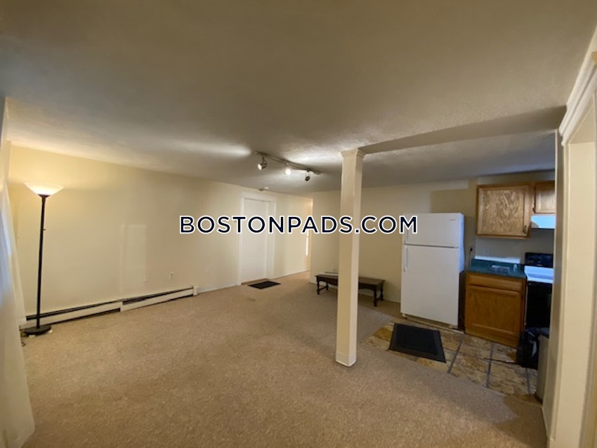 BOSTON - BRIGHTON- WASHINGTON ST./ ALLSTON ST. - 2 Beds, 1 Bath - Image 13