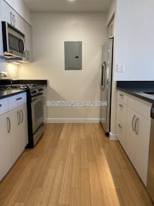 South End Amazing Luxurious 2 bed apartment in Harrison St Boston - $4,350