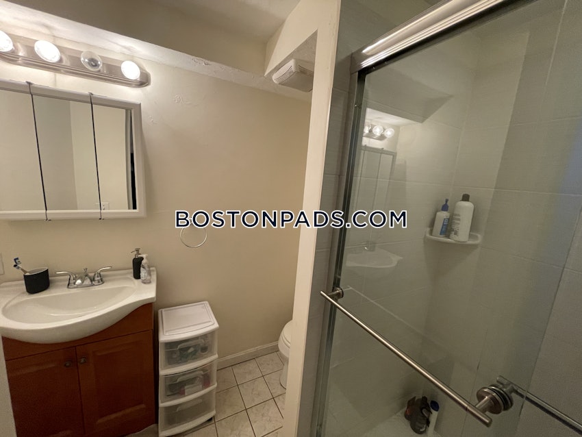 BROOKLINE- BOSTON UNIVERSITY - 6 Beds, 3 Baths - Image 23