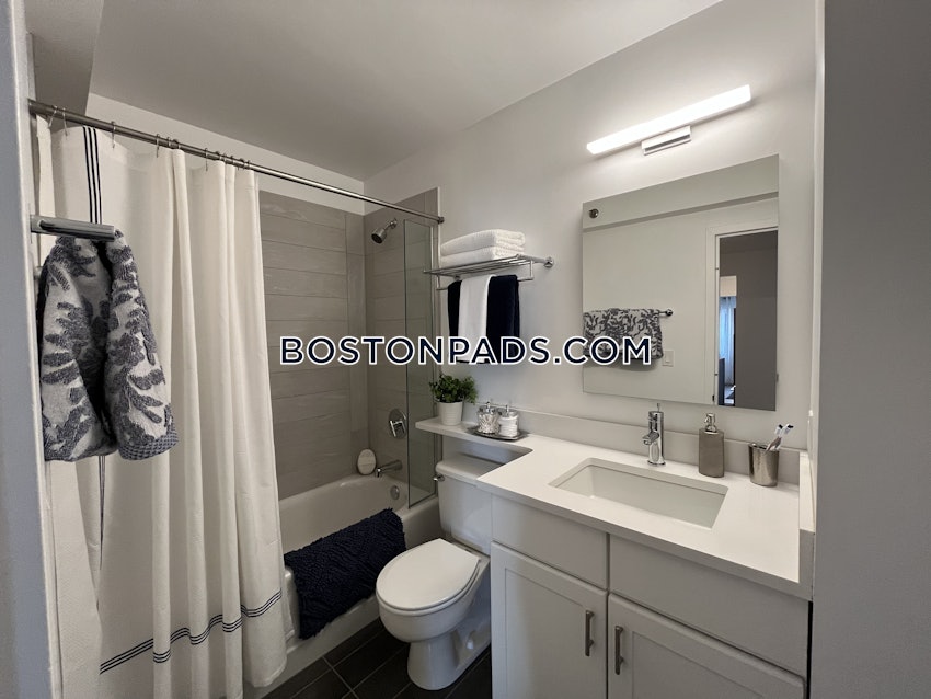 BOSTON - DOWNTOWN - 2 Beds, 2 Baths - Image 22