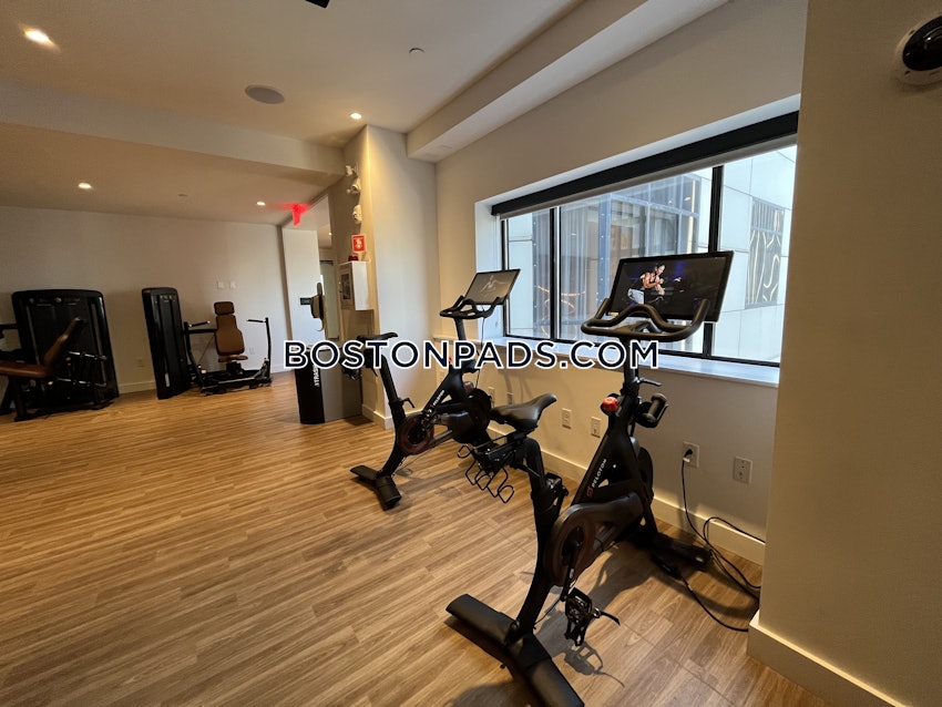 BOSTON - DOWNTOWN - 2 Beds, 2 Baths - Image 21