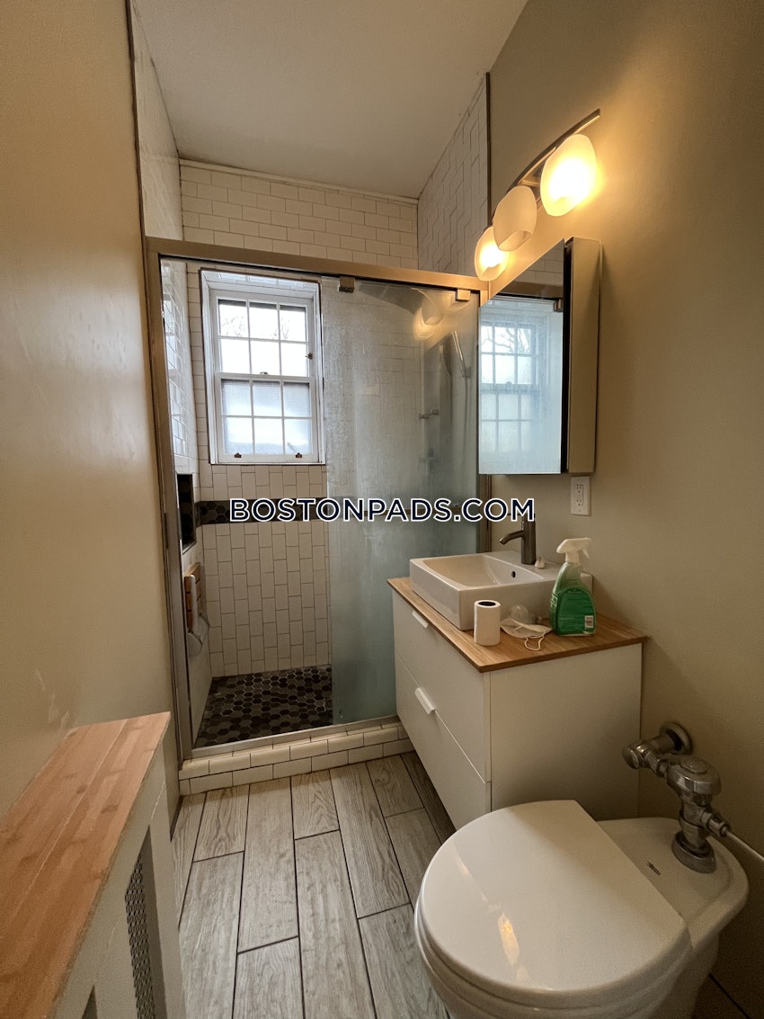 BOSTON - BRIGHTON - BRIGHTON CENTER - 1 Bed, 1 Bath - Image 8