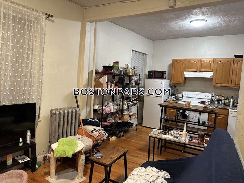 BOSTON - NORTHEASTERN/SYMPHONY - 3 Beds, 1 Bath - Image 4