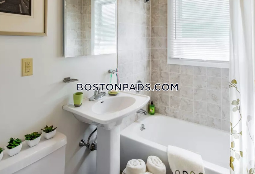 BOSTON - ROSLINDALE - 1 Bed, 1 Bath - Image 7