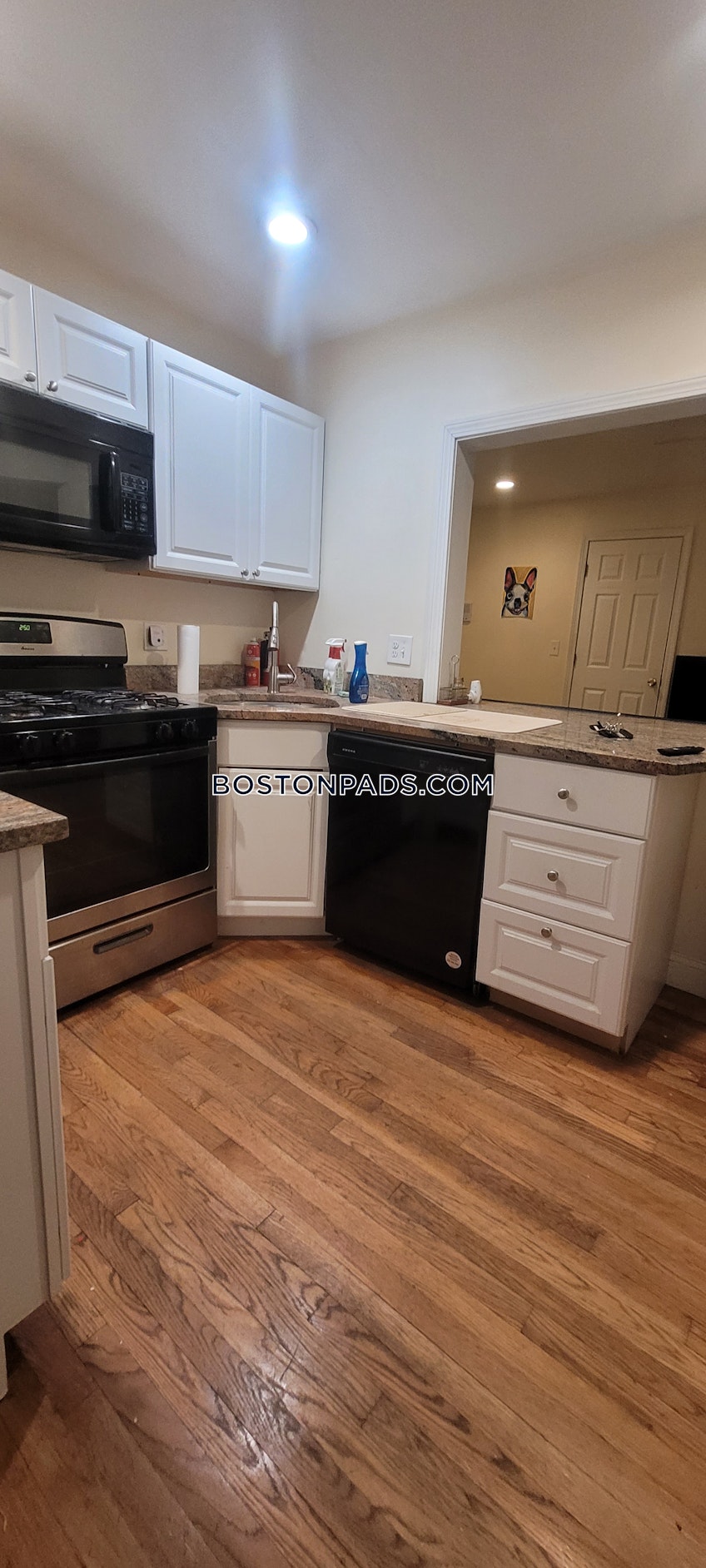 Brookline - $6,700+ /month