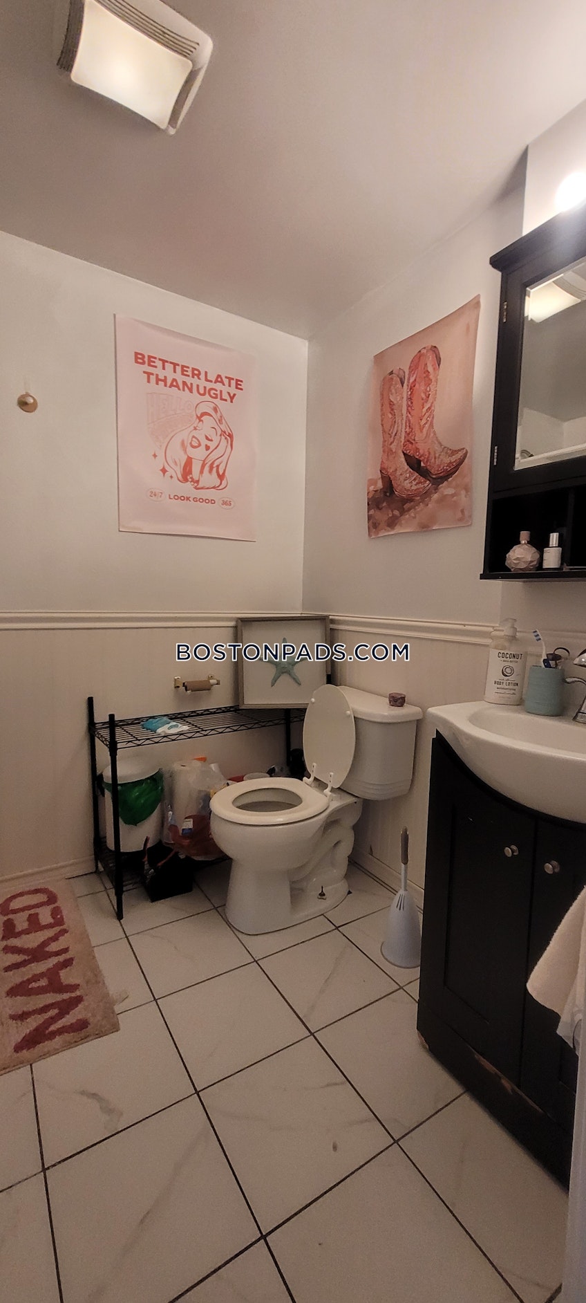 Brookline - $6,700+ /month