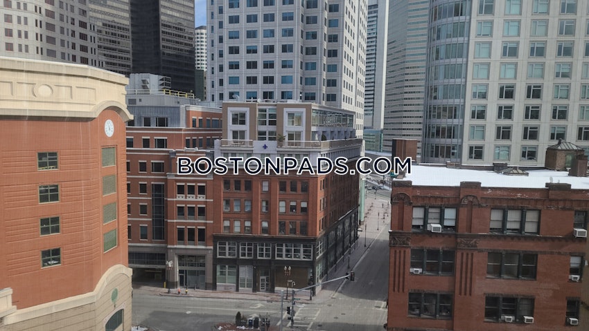 BOSTON - DOWNTOWN - 1 Bed, 1 Bath - Image 9