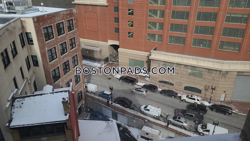 BOSTON - DOWNTOWN - 1 Bed, 1 Bath - Image 5