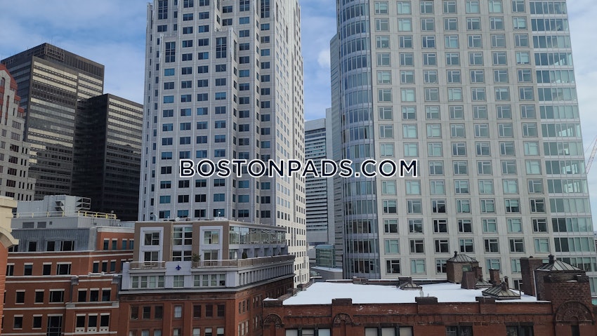 BOSTON - DOWNTOWN - 1 Bed, 1 Bath - Image 7