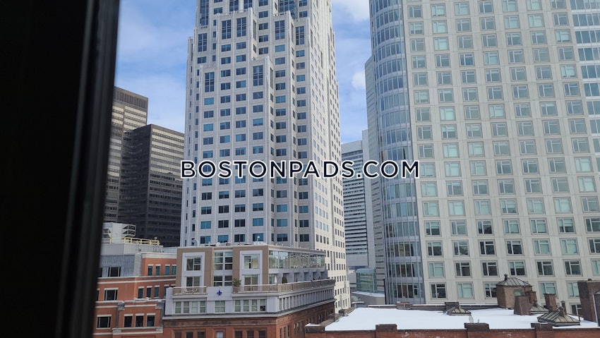 BOSTON - DOWNTOWN - 1 Bed, 1 Bath - Image 8