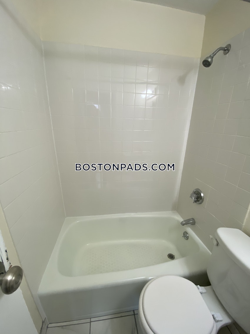 BOSTON - JAMAICA PLAIN - JAMAICA POND/PONDSIDE - Studio , 1 Bath - Image 11