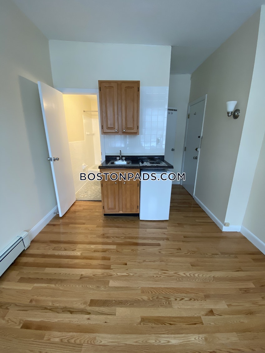 BOSTON - JAMAICA PLAIN - JAMAICA POND/PONDSIDE - Studio , 1 Bath - Image 9