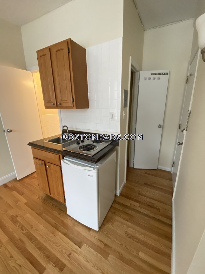 BOSTON - JAMAICA PLAIN - JAMAICA POND/PONDSIDE - Studio , 1 Bath - Image 2