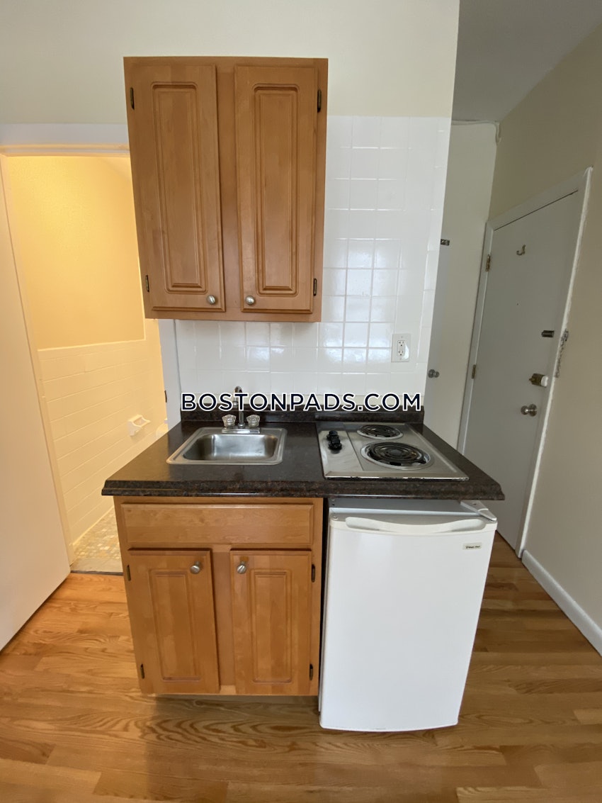 BOSTON - JAMAICA PLAIN - JAMAICA POND/PONDSIDE - Studio , 1 Bath - Image 1