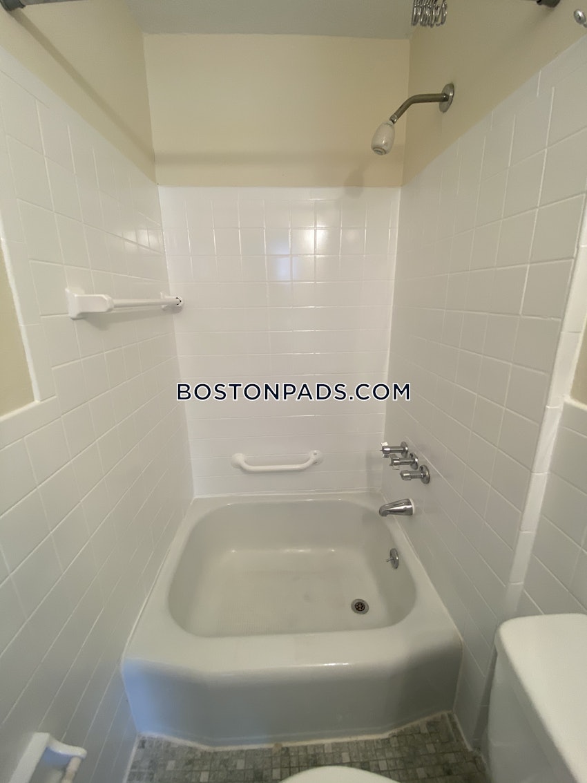 BOSTON - JAMAICA PLAIN - JAMAICA POND/PONDSIDE - Studio , 1 Bath - Image 23